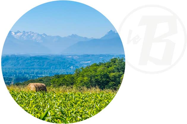 Bougarber produits locaux